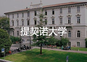 提契诺大学