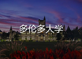 多伦多大学