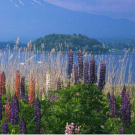 山梨县